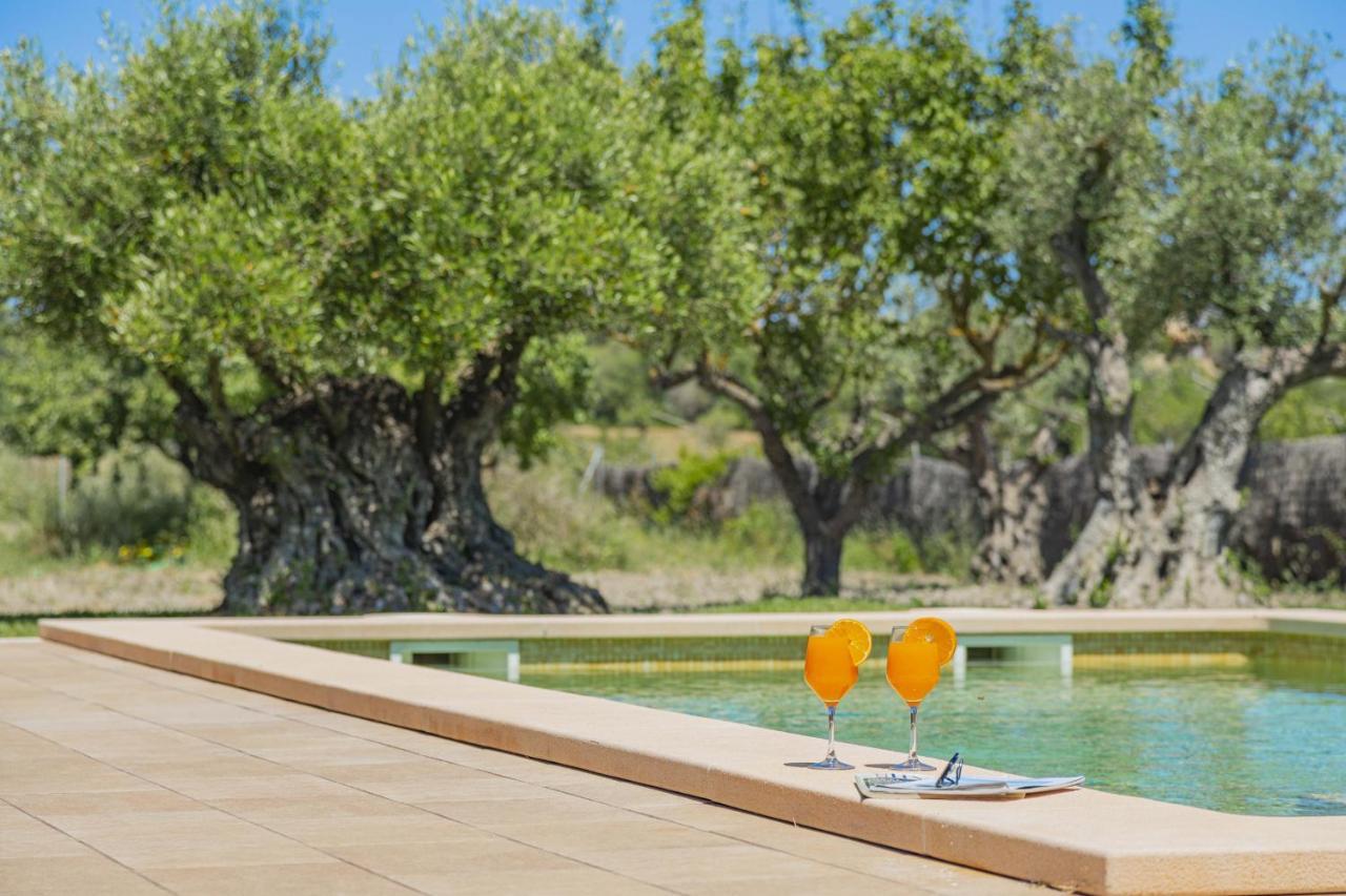 Villa Can Segue Alcudia  Exterior photo